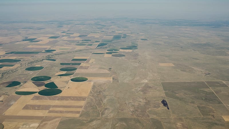 A section of open prairie photographed from a low rise, divided by fence lines running to the horizon.