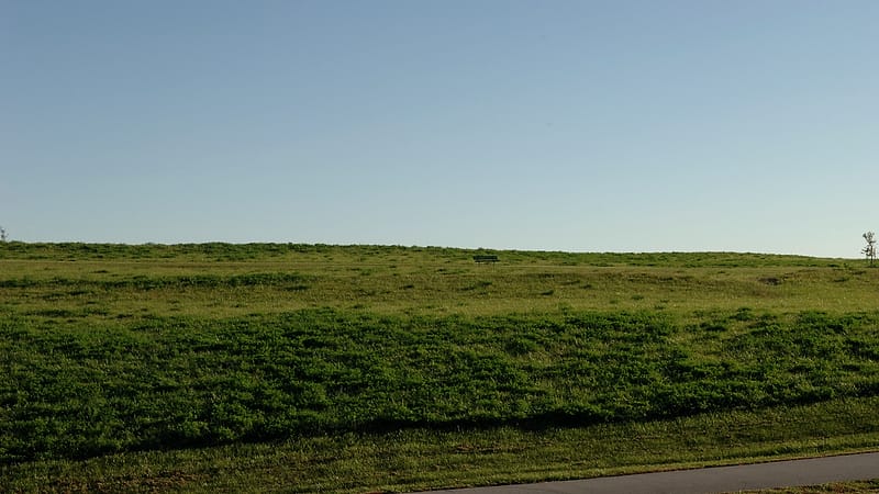 A regraded hillside of raw brown spoil meeting a stand of established grass, with a silt fence running along the contact.