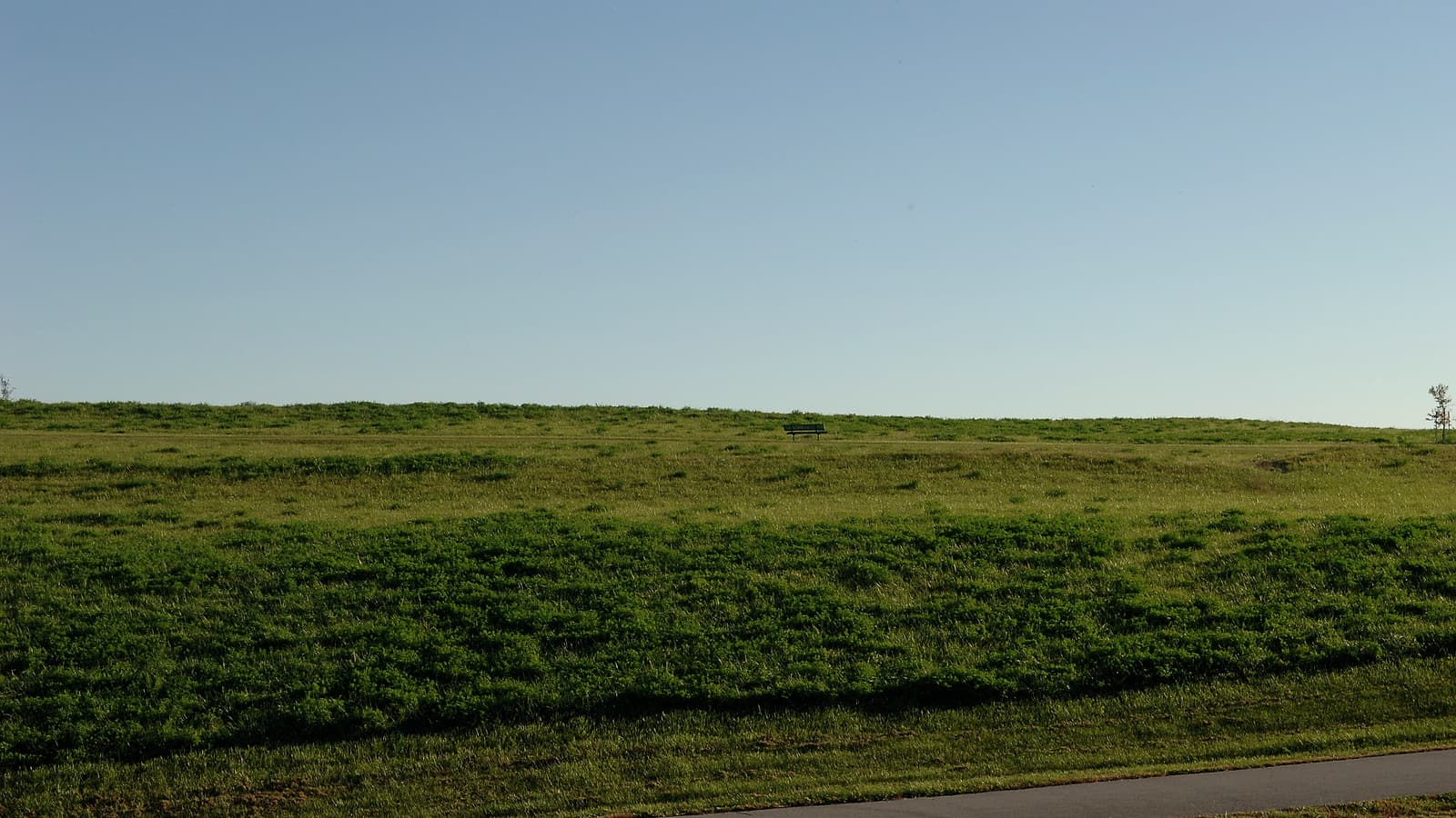 A regraded hillside of raw brown spoil meeting a stand of established grass, with a silt fence running along the contact.